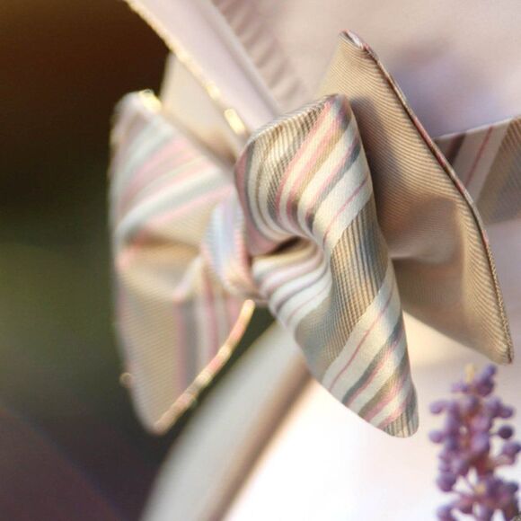 NWT Men's bow tie Silk Self-tied Gift Box S441 Christmas gift Ready to ship - Picture 8 of 8